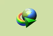 Internet Download Manager v6.42.48 中文绿色特别版(IDM下载利器)-六美分资源网