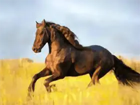 YourTV 你的电视TV v2.3.4 清爽版｜电视播放工具-六美分资源网