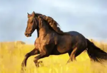 YourTV 你的电视TV v2.0.4 清爽版-六美分资源网