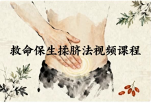 救命保生揉脐法视频课程-六美分资源网