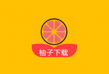 柚子下载 v1.5.7 高级版｜全能无广告下载神器-六美分资源网