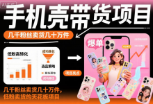 手机壳带货项目实操指南｜低粉账号卖出几十万件-六美分资源网