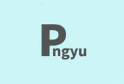 Pngyu v1.0.5 中文绿色版｜PNG 图像批量压缩工具-六美分资源网