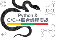 [C++/C语言/Python/编程] Python & C/C++联合编程实战课程 [3.9G]-六美分资源网